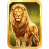 celestial revolutions leo symbol