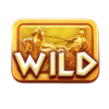 champion blitz hold and win wild 1 symbol