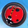 charm land ladybug symbol