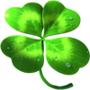 charms and clovers 5