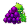 chase the fruits grapes symbol