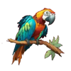 cheeky chimp parrot symbol