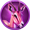 cheetah wild gazelle symbol
