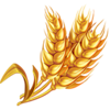 chicken burst extra golden wheat symbol