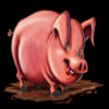 chicken fox 5x skillstar pig symbol
