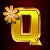 chicken fox 5x skillstar q letter symbol