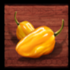 chilli con cash yellowchilli symbol