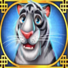 chilling tiger tiger symbol