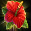 city pop hawaii flower symbol