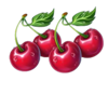clover energy cherries symbol