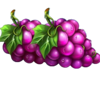 clover energy grapes symbol