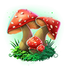 clover gold 21