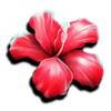 club tropicana happy hour flower symbol