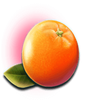 club tropicana orange symbol