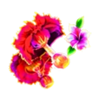 coco loco cash flowers symbol