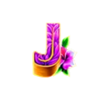 coco loco cash j symbol