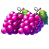 coin blitz power wheel 3x3 running wins grape symbol