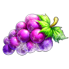 coin freeze hold and hit 3x3 grapes symbol