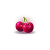 coin nonet 2 hold and win cherries symbol