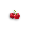 coin nonet hold and win cherries symbol
