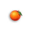 coin nonet hold and win orange symbol