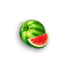 coin nonet hold and win watermelon symbol