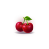 coin nonet lightning 2 cherry symbol