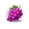 coin nonet lightning grapes symbol