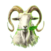 coin of life 6 symbol