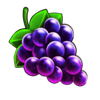 coin splash grapes symbol