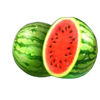 coin strike 2 hold and win watermelons symbol