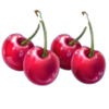 coin strike xxl hold and win cherries symbol
