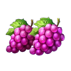 coin strike xxl hold and win grapes symbol