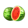 coin strike xxl hold and win melons symbol