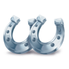 coin win express hold the spin horseshoe symbol