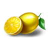 coin win express hold the spin lemon symbol