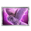 cq9 gaming snow queen owl symbol