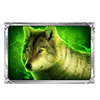 cq9 gaming snow queen wolf symbol