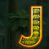 crazy crocs j symbol