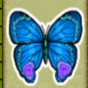 crazy monkey 2 butterfly symbol