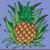 crazy monkey pineapple symbol
