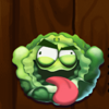 crazy veg cabbage symbol