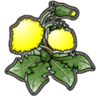 cream of the crop plant2 symbol