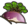 cream of the crop radish symbol