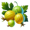 crouching tiger fruit 2 symbol