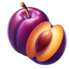 crouching tiger plum symbol