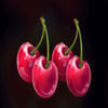 crown and diamonds hold and win cherry symbol