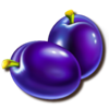 crown king hot gods and kings link plum symbol