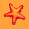 cruise of fortune star symbol