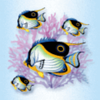 crystal waters fish symbol
